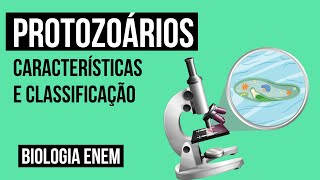 PROTOZOÁRIOS características e classificação  Biologia para o Enem  Cláudia de Souza Aguiar [upl. by Lleira]