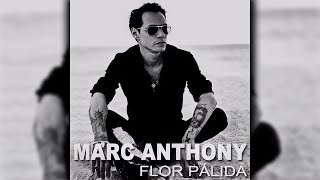 Marc Anthony  Flor Pálida Official Audio [upl. by Yelsel]