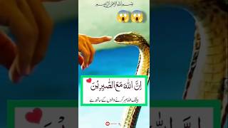 Peyare dosto ye wazifa akmartaba din me padlo🕋☝shorts viralvideo islamicstatus wazifa foryou 😱🕋 [upl. by Kovacev318]