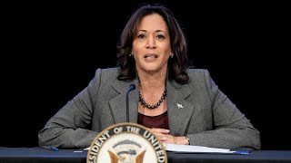 Fox News contributor pokes holes in Kamala Harris’ campaign [upl. by Atiuqahc968]