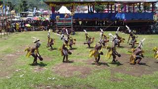 Siassi Island Dancers [upl. by Flavia]