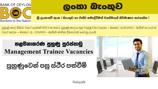 BOC Management Trainee Vacancies  BOC  Bank Job  Bank of Ceylon  Government Jobs [upl. by Sharlene]