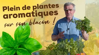 Comment cultiver des plantes aromatiques sur un balcon  Conseils plantation exposition exigences [upl. by Simaj]