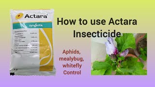 How to use Actara insecticide gardening insecticides insectcontrol terracegarden [upl. by Sissy]