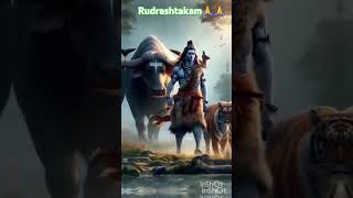 Namami shamisan nirvan rudrashtakam🙏lordshiva🙏 radhakrishna sanatandharma trending mahadev yt [upl. by Anetsirhc]