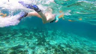 Snorkeling Cancun [upl. by Maccarthy]