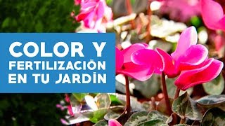 ¿Cómo fertilizar y agregar color al jardín [upl. by Ahsait]