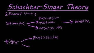 Schachter Singer theory of emotion  Two factor theory of Emotion  Cognition and emotion examples [upl. by Mercy]