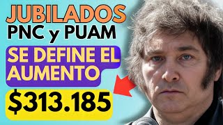 💰 ATENCIÓN JUBILADOS❗AUMENTO CONFIRMADO a JUBILACIONES PENSIONADOS PNC y PUAM de ANSES  MARZO 2024 [upl. by Annad]