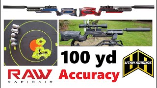 Accuracy Test  100 Yards RAW LRT from UTAH AIRGUNS  Rapid Air Worx PCP Air Rifle Review [upl. by Ronen]