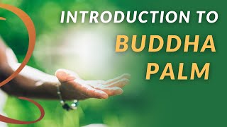 Introduction to Buddha Palm  Activate Healing Energy in Your Hands [upl. by Amadis156]