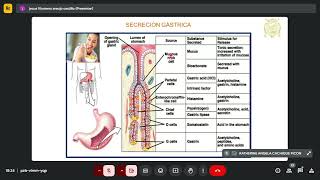 Secreción digestiva y absorción intestinal fisiología hepática [upl. by Belanger]