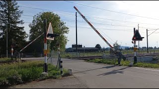 Bahnübergang Bettlach CH  Swiss Railroad Crossing [upl. by Orutra]