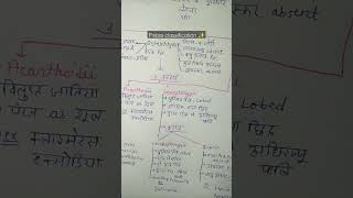 Pisces 🐟 classification in a chart bsc 3rd year zoology picses classification 🌸study ytshorts [upl. by Stinky]