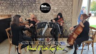 String Quartet cover of Blink 182 All The Small Things [upl. by Ayikin705]