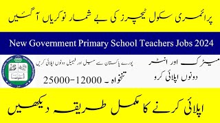 Government Primary School Teachers Jobs 2024 New Government Career Opportunity How to Apply [upl. by Ymiaj]