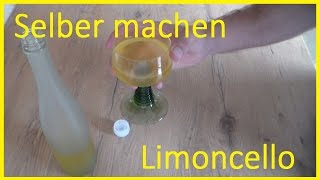 Leckeren Limoncello selber machen  Zitronenlikör selbst machen  Limoncello Recipe [upl. by Xila84]