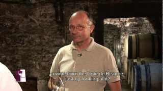 Understanding Burgundy Chablis Grand Crus with Bernard Raveneau [upl. by Niamrahc]