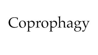 How to Pronounce Coprophagy [upl. by Artenahs]