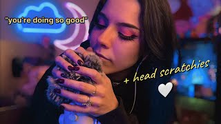 ASMR Telling You How Good You’re Doing for 20mins  head scratchies positive affirmations asmr [upl. by Sommers794]