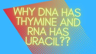 Why DNA has thymine and RNA has uracil [upl. by Mellie]