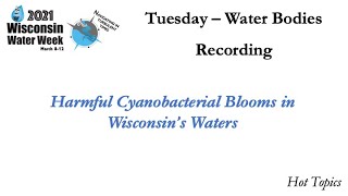 Harmful Cyanobacteria Blooms in Wisconsins Waters [upl. by Boutis]