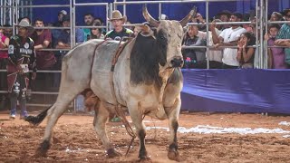 SEMI FINAL EM TOUROS  Rodeio de CHAPADÃO DO CÉUGO 2024 [upl. by Peoples]