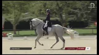 Grand Prix horse for sale Lusitano Golias [upl. by Anilatak]