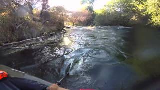 kayaking putah creek california [upl. by Ubald493]