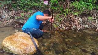 no podimos encontrar cangrejos en el rio de sonaguera [upl. by Naujuj]