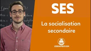 La socialisation secondaire  SES  Première  Les Bons Profs [upl. by Starkey]