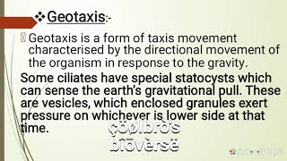 Positive geotaxis and negative phototaxis [upl. by Kciv]