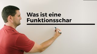 Was ist eine Funktionsschar Teil 1 Parameterfunktion Kurvenschar  Mathe by Daniel Jung [upl. by Nance45]