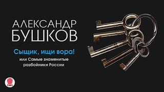 АЛЕКСАНДР БУШКОВ «СЫЩИК ИЩИ ВОРА» Аудиокнига Читает Александр Клюквин [upl. by Abert]