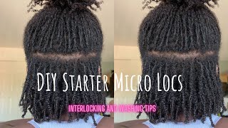 How I Interlock and Wash my DIY Micro Locs  Fine Medium Density 4C Hair [upl. by Dorina303]