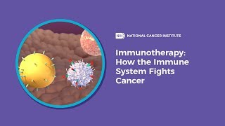 Immunotherapy How the Immune System Fights Cancer [upl. by Tansey219]