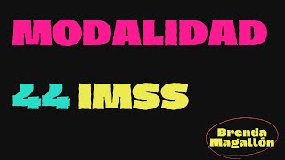 Modalidad 44 IMSS Trabajadores independientes [upl. by Salvadore]