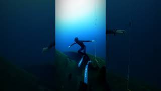 tenerife apnea freediving ocean canarias tenerife4k underwater wreck oceano [upl. by Akena765]