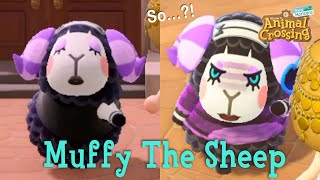 Muffy The Sisterly Sheep Animal Crossing New Horizons ACNH [upl. by Ericka]