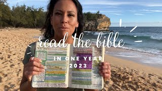 Read and Study the Entire Bible in 2023  Bible Study for Beginners [upl. by Kooima422]