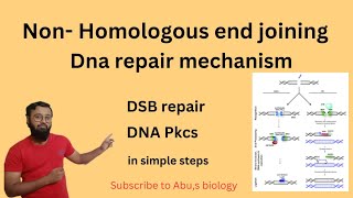 Double Stranded DNA Repair  Homologous Recombination and Nonhomologous End Joining [upl. by Kermy]