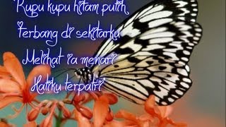 Kupukupu Hitam Putih  Iwan Fals with Lyrics [upl. by Arika]