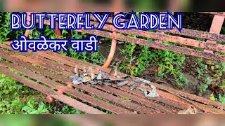 Butterfly Garden in Thane I Ovalekar Wadi I Thane I Must Visit Place [upl. by Vary112]