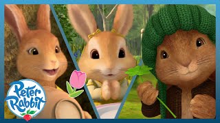 ​OfficialPeterRabbit 🌸 🐇 Lets Hop Into Spring With the Rabbits 🐇🌸  Cartoons for Kids [upl. by Casta541]