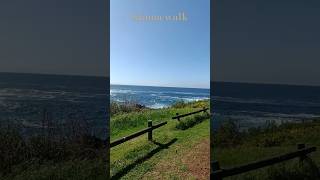 Kiama coastal walk nsw tourism beach lookout shorts [upl. by Llerref973]