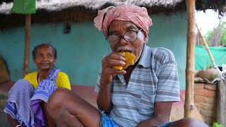 TRIBAL FAMOUS ZIL PITHE RECIPEvillage style chicken paratha recipe by our grandfather amp grandmother [upl. by Swann]