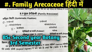 Family Arecaceae in hindi  BSc first year Botany Third Semester [upl. by Donelle]