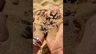 ASMR Sand asmr beach fyp ocean relax sand [upl. by Yzus]