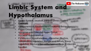 Limbic System and Hypothalamus Physiology [upl. by Serolod]