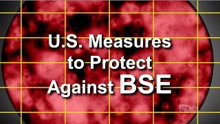 US Measures to Protect Against BSE [upl. by Nortal]